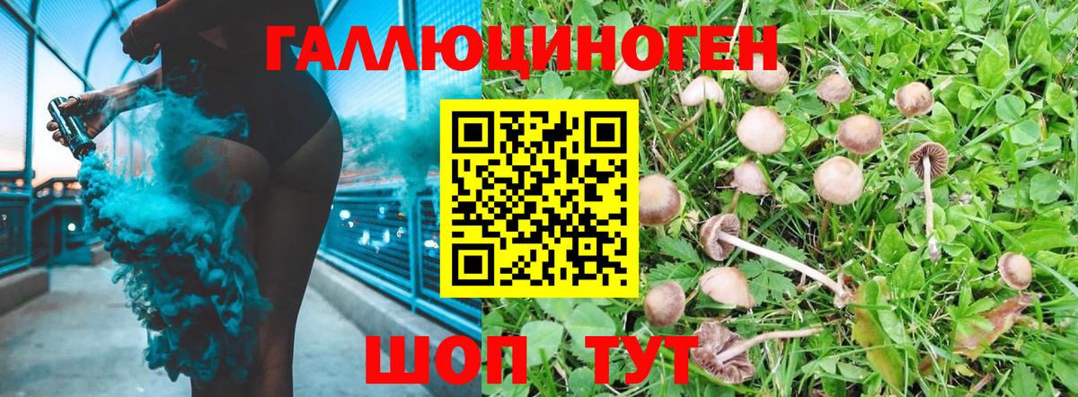 Галлюциногенные грибы Cubensis  Вход с VPN  Мыски 